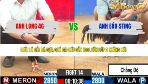 TRẬN 14 CPC2 7/4/2026