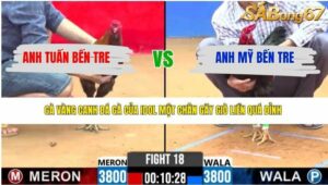 TRẬN 18 CPC2 5/4/2026