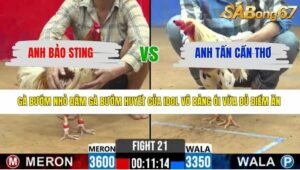 TRẬN 21 CPC2 7/4/2026