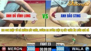 TRẬN 23 CPC2 7/4/2026