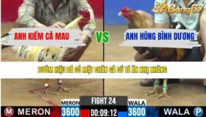 TRẬN 24 CPC2 7/4/2026