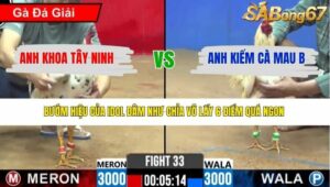 TRẬN 33 CPC2 3/4/2026