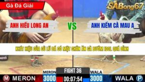 TRẬN 36 CPC2 3/4/2026