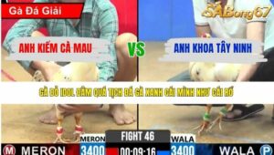 TRẬN 46 CPC2 3/4/2026