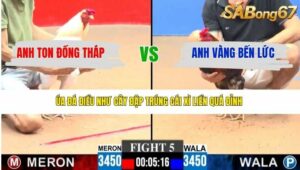 TRẬN 5 CPC3 7/4/2026