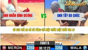 TRẬN 9 CPC2 7/4/2026