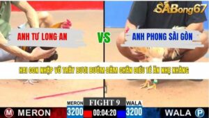 TRẬN 9 CPC3 7/4/2026