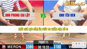 TRẬN 11 CPC2 10/4/2026