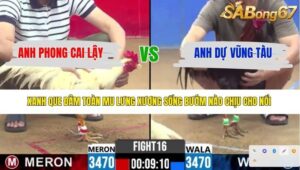 TRẬN 16 CPC2 10/4/2026