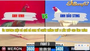 TRẬN 3 CPC2 10/4/2026