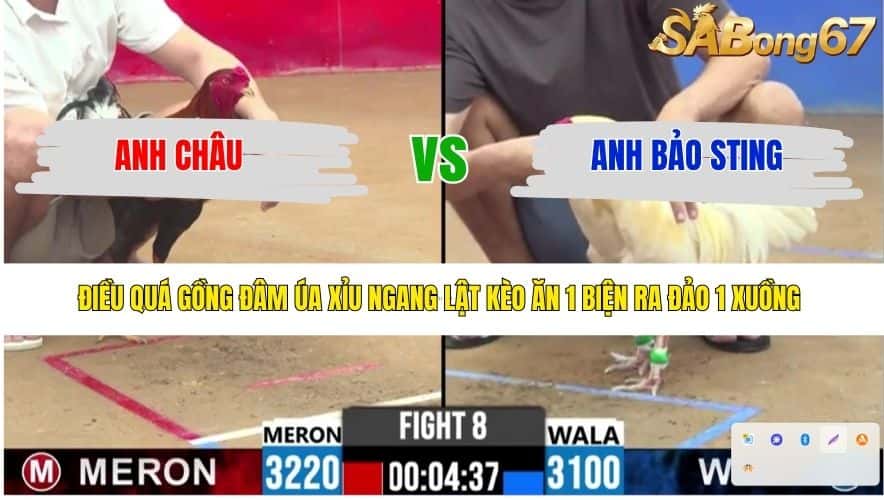 TRẬN 8 CPC2 10/4/2026